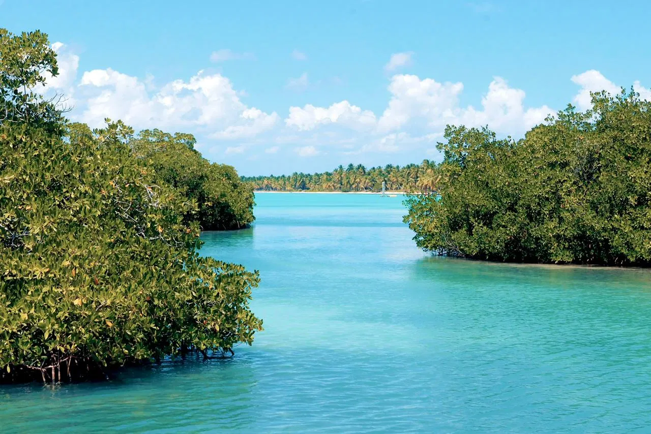 4 Playas - piscina natural